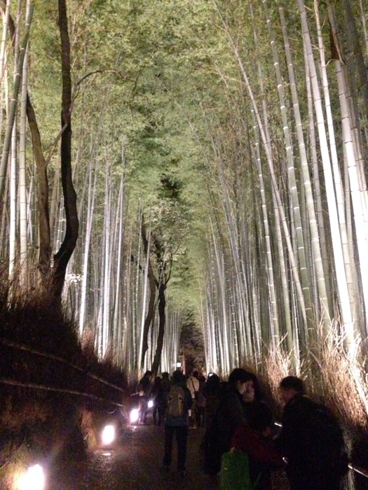 竹林の小径