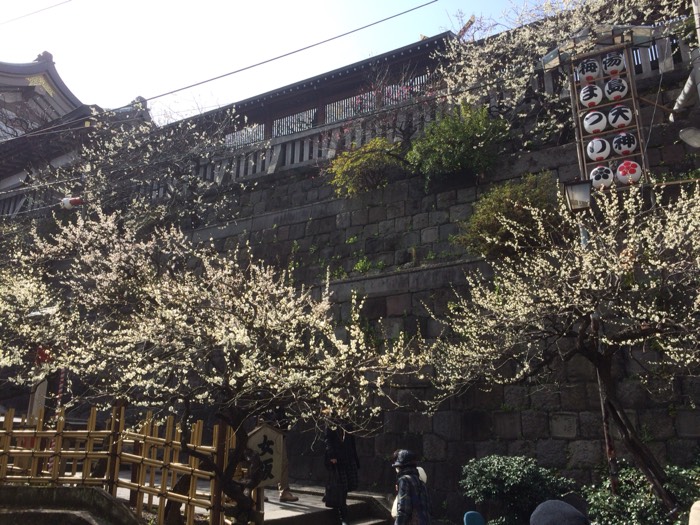 湯島天神女坂