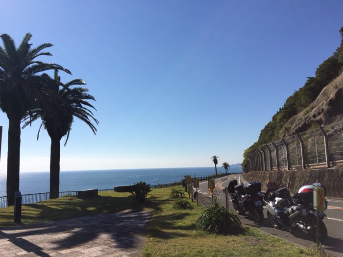 フェニックスロード