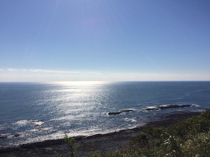 道の駅フェニックスの景観