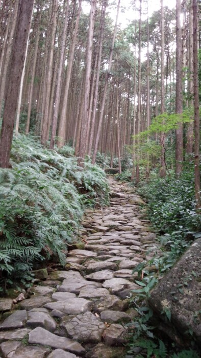 熊野古道