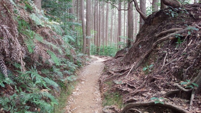 熊野古道
