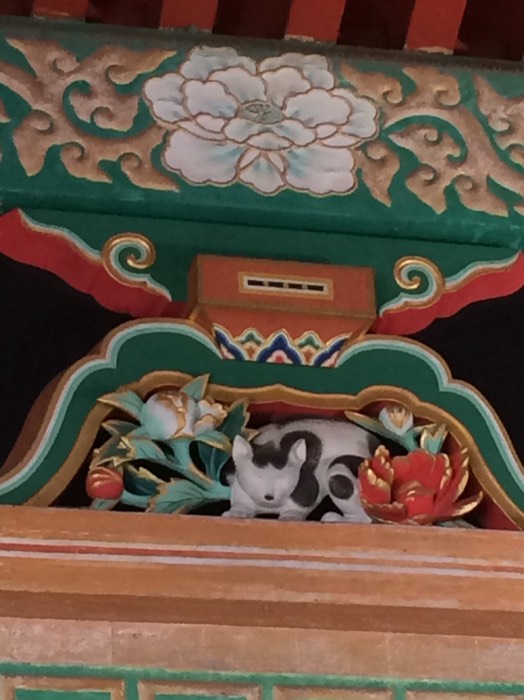 眠猫