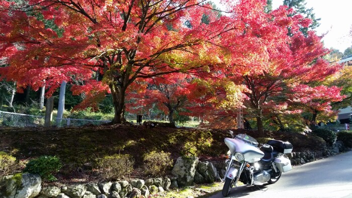 胡宮神社