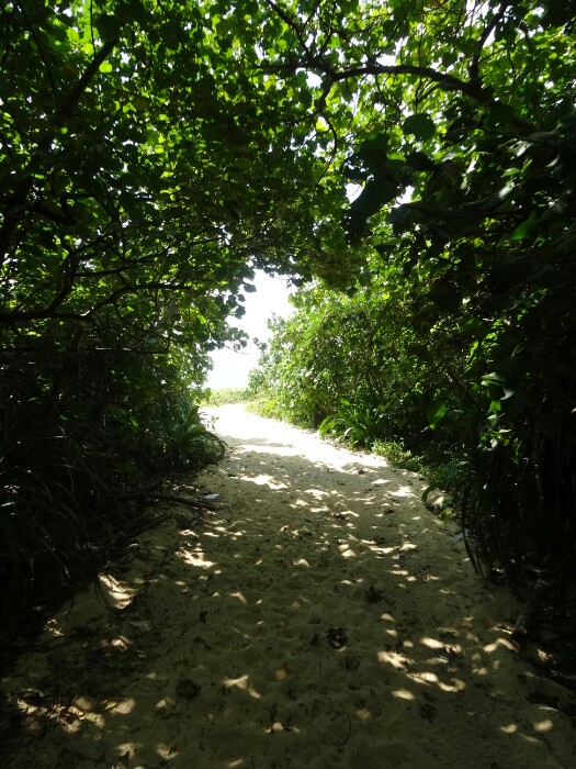 南風見田の浜