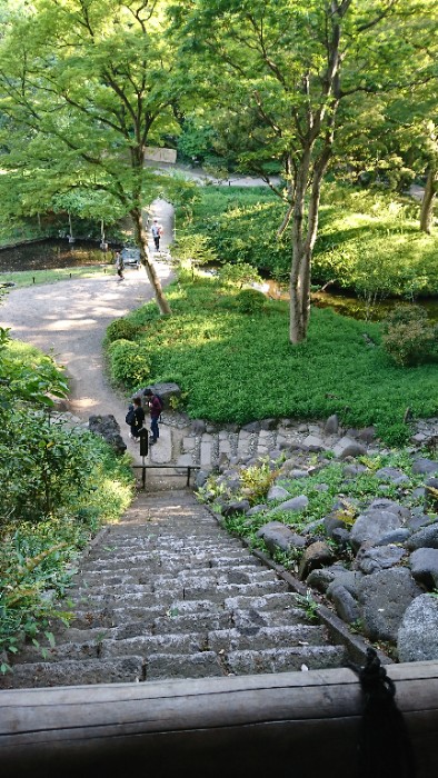 愛宕坂を見下ろす