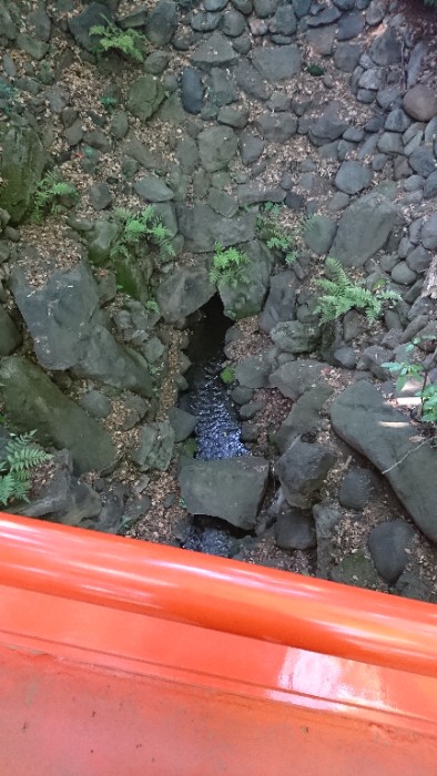 天通橋の下を流れる大堰川