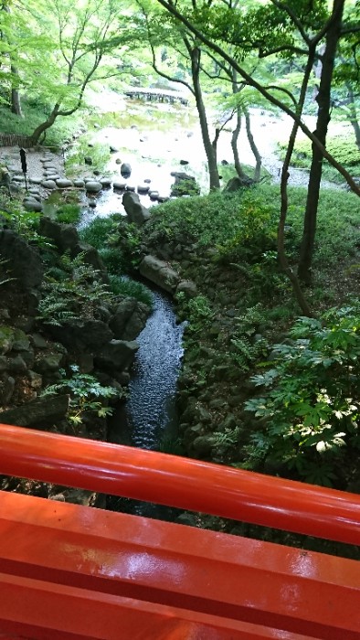 通天橋から下を流れる大堰川を撮影