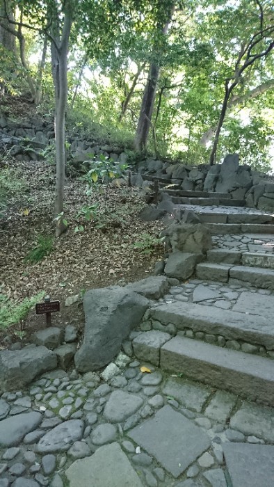 展望台への登り階段