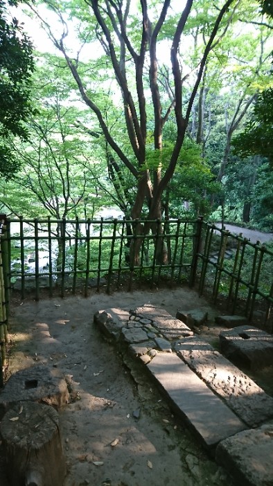 大堰川が眼下に見渡せる展望台