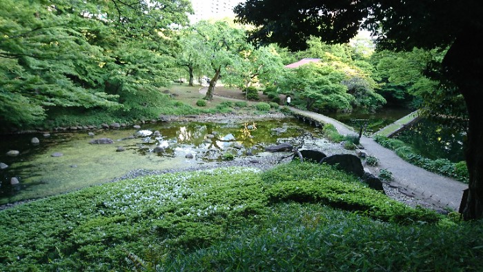 大堰川、渡月橋、西湖の堤