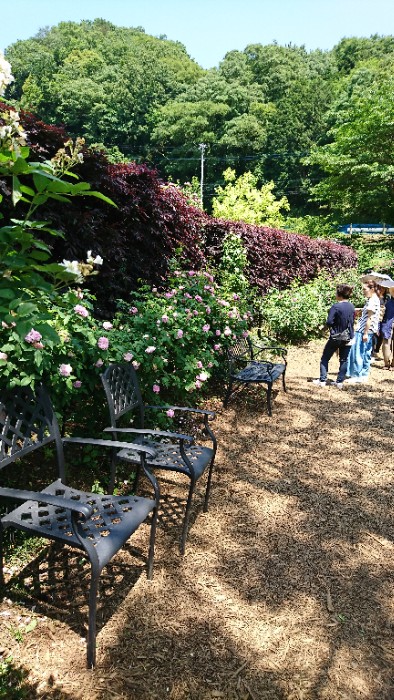 上のバラ園と下のバラ園の堺