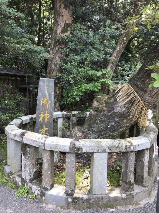 御神木
