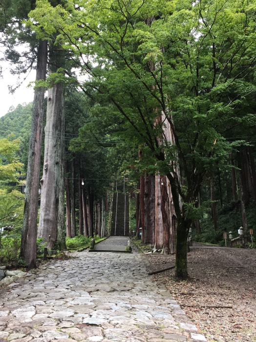久遠寺の菩提梯