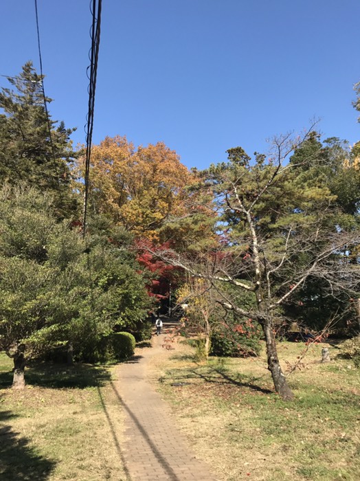 ここから登り坂