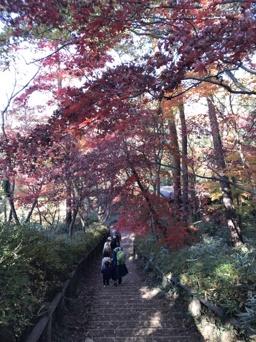 この先右が高麗峠方面