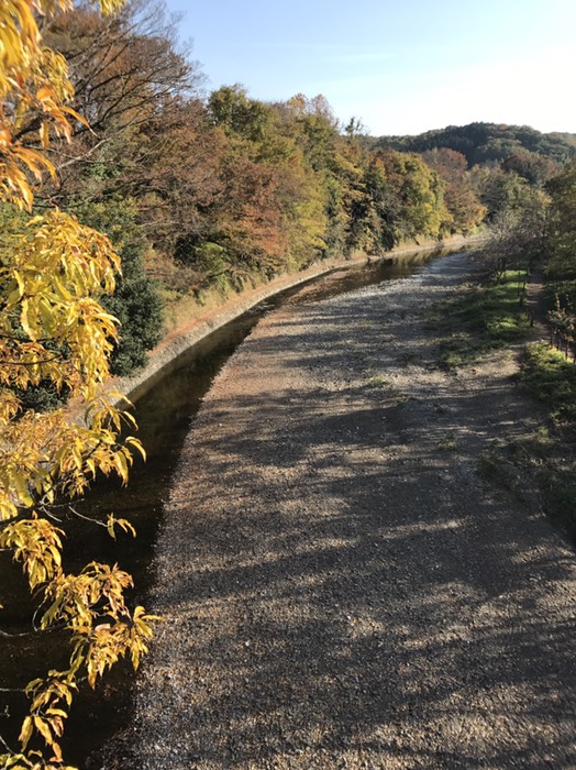 高麗川(あいあい橋から)