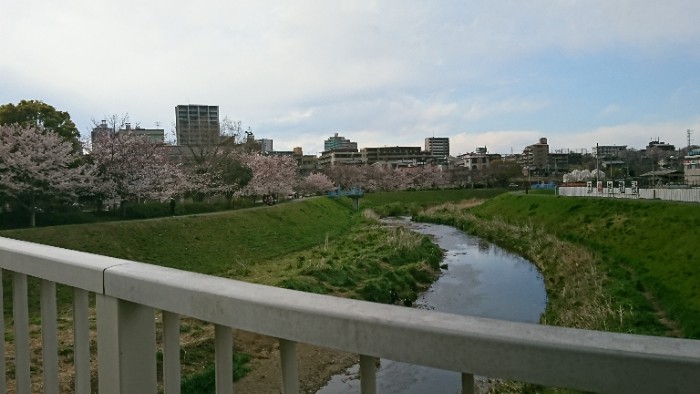 浜崎 黒目橋から