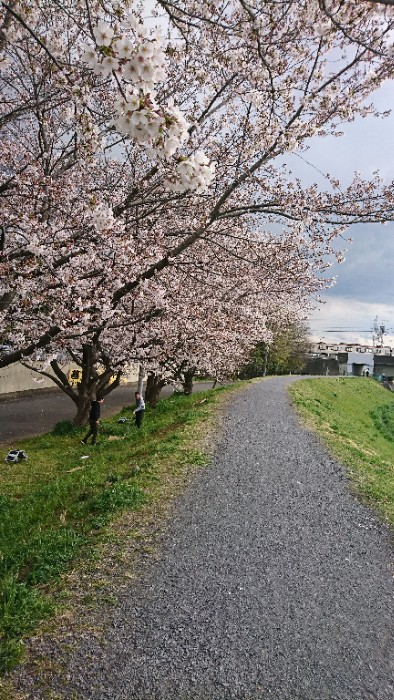 東上線を背景に