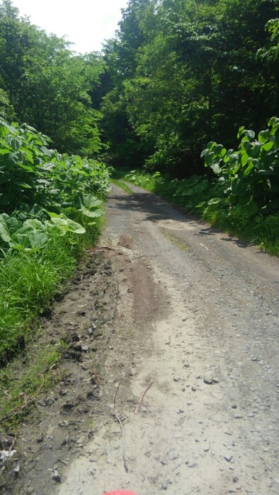 18ここからダート