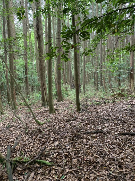 道がわからない