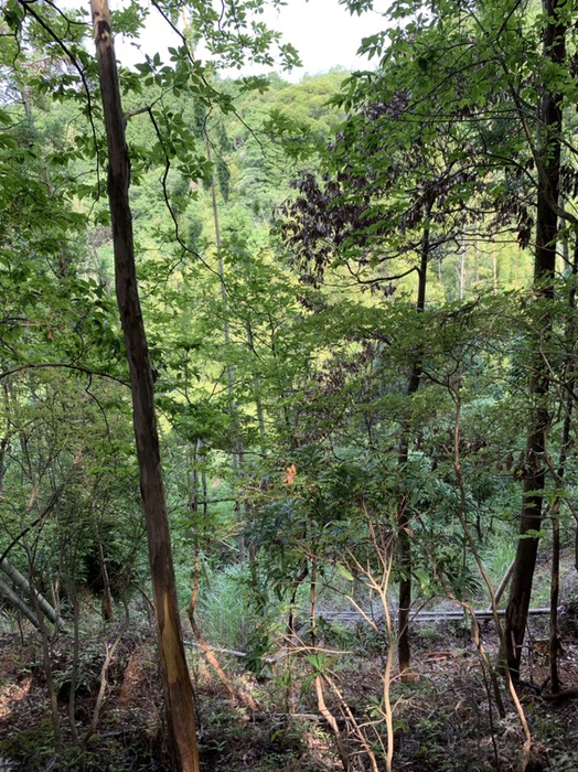 向かいの尾根の反対側