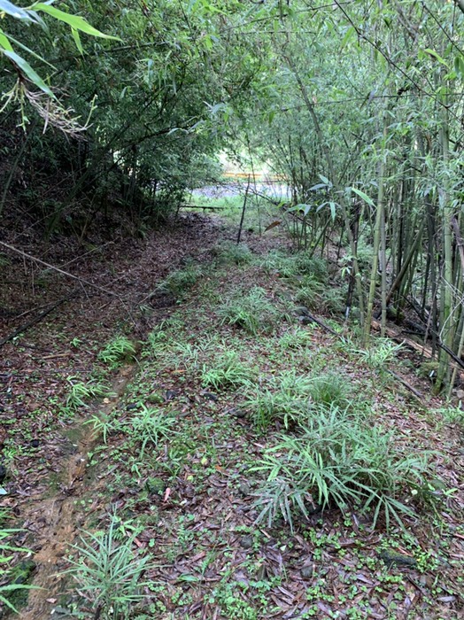 手前側の道の入口