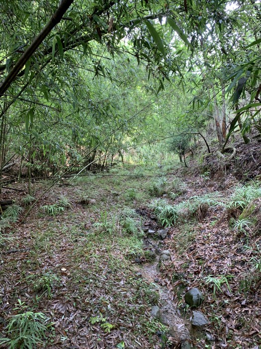 手前側の道の奥