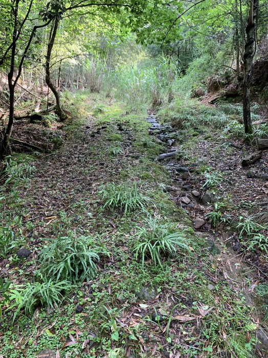 道の横が沢になってる