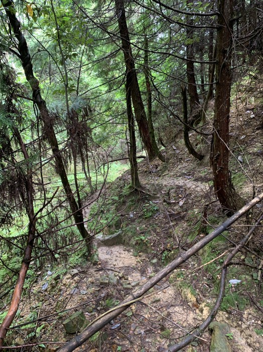 崩れて道が無くなっている