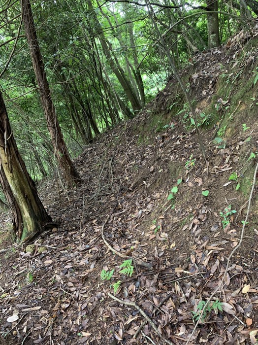 ここで行き止まり