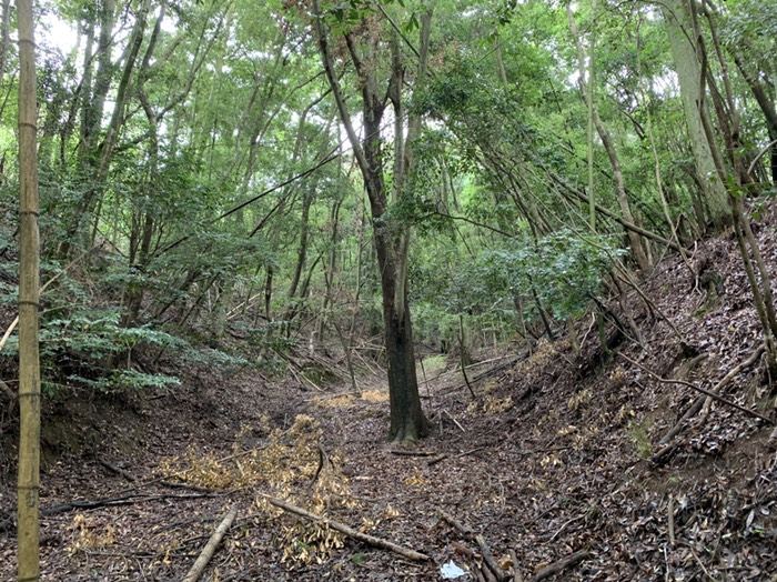 入口入ったところ