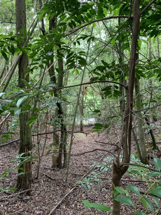 谷から入口方面