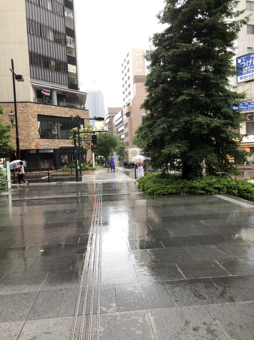 日本テレビ通り