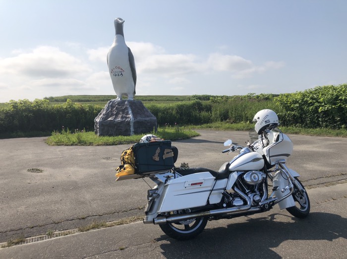 羽幌町入口の路上