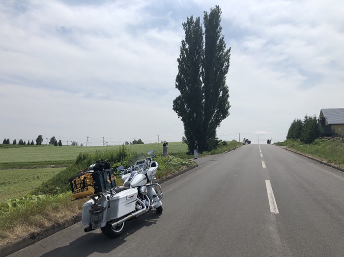 ケンとメリーの木