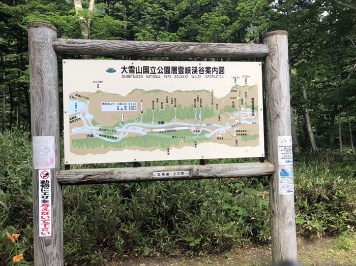 流星・銀河の滝