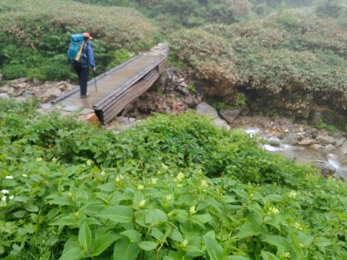 登山道 (南竜山荘へ)