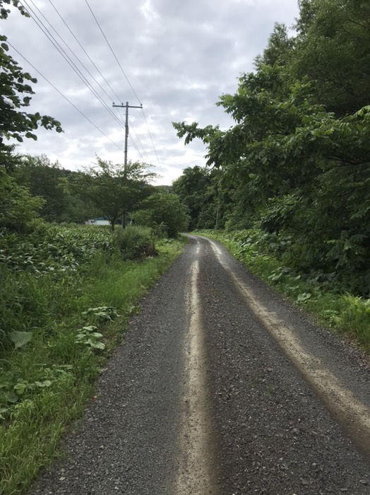サロマ湖展望台への道