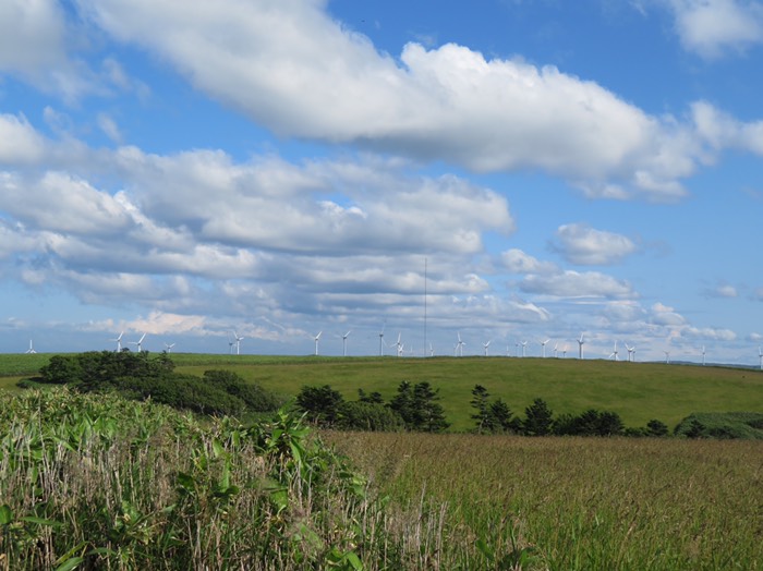 宗谷丘陵の風車群