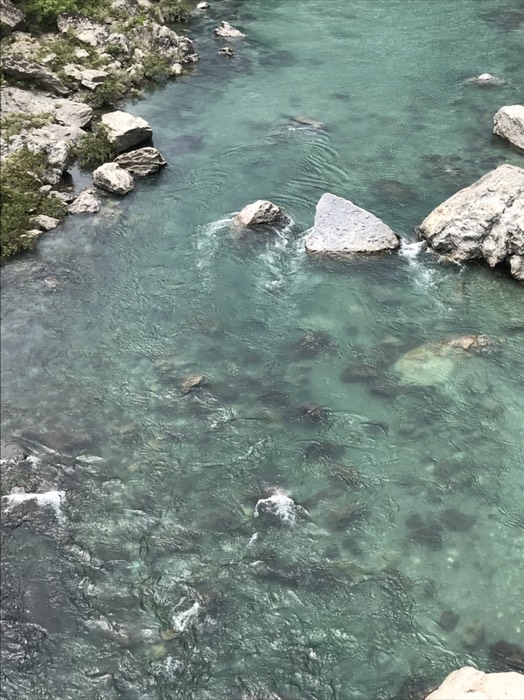 仁淀川町川口地区