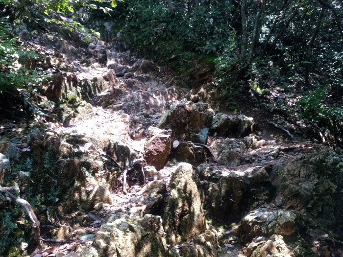 瞑想の小径 岩場