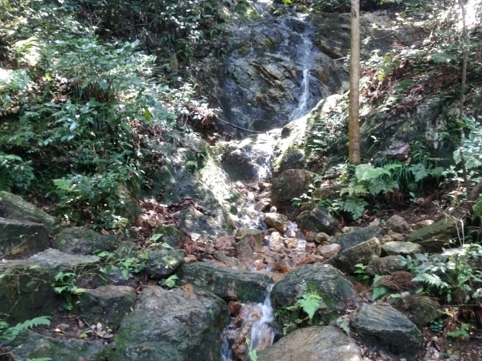 せせらぎを渡る