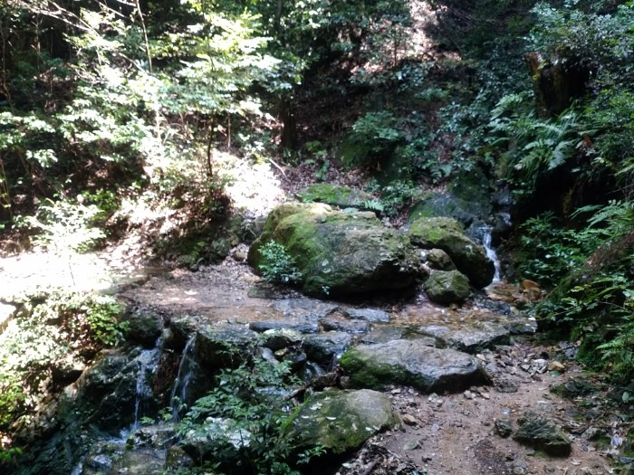 せせらぎを渡る