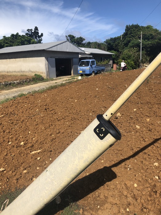 南海     南日本