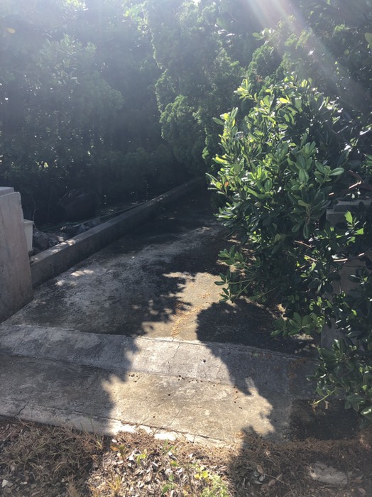 南海    日本経済