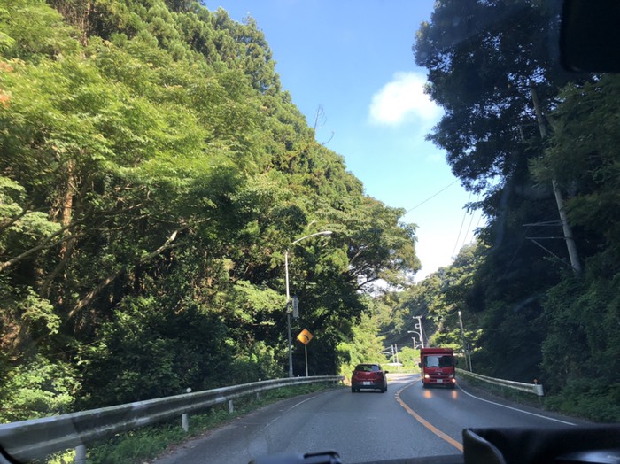 両サイドみどり愛した女の名前はみどり