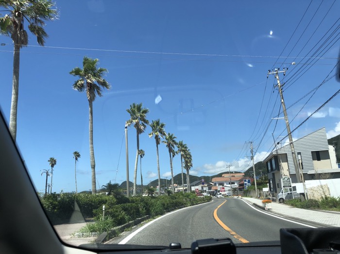 アローラナッシー大量発生