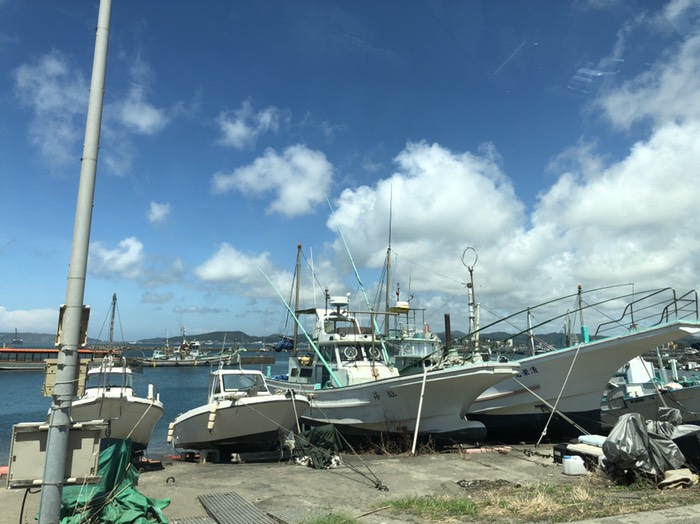 子ヤマトin館山