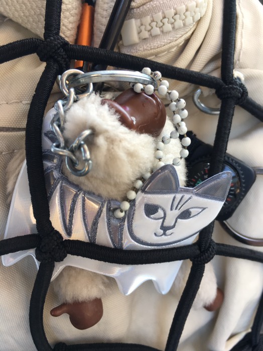 スマイキー🐾とゴリラん